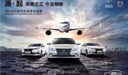 汽车质量爆料新闻,深度剖析行业痛点与消费者权益