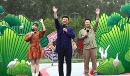 机界战队爆料视频大全最新,揭秘最新科幻动作剧集幕后花絮