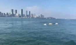 厦门海域爆料案件最新,神秘案件浮出水面，真相渐露端倪