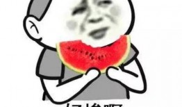 娱乐吃瓜酱名人名言大全,名人名言大盘点，笑料与智慧并存