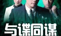 与谍同谋在线观看国语,同谋风云在线国语音频版精彩呈现