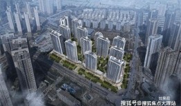 雅居乐爆料最新消息新闻,揭秘企业动态与未来发展规划