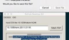 爆料不打洋最新地址,不打洋最新地址曝光，带你一探究竟
