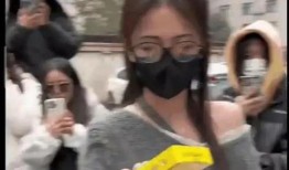 吃瓜爆料打架视频大全,打架视频大全引发社会热议