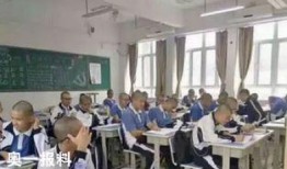 镇宁职校爆料事件最新,真相揭开，校园安全问题引发热议