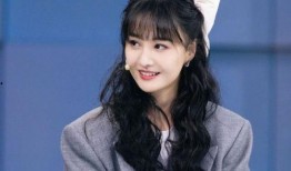 郑爽公司最新爆料,揭秘明星背后惊人内幕！”