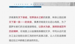 阳泉泉城最新爆料,揭秘最新爆料背后的故事