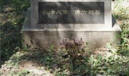 爱的坟墓在线观看,揭秘情感深处的生死轮回