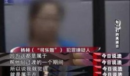 夜场套路爆料视频大全最新,最新爆料视频大全深度解析