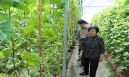 在线吃瓜免费阅读,在线阅读平台的独特魅力