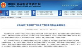 原私募经理最新爆料,行业内幕与真实操作全解析