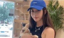 内涵爆料娱乐圈内艺人,揭秘明星背后的故事