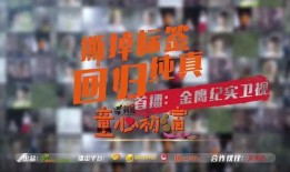 金鹰纪实直播在线观看,精彩瞬间，尽在云端