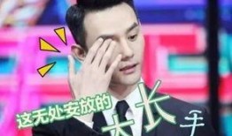 扒姐爆料王凯是谁呀视频,王凯身份大揭秘，视频爆料引热议