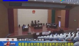 兰陵县开元爆料案件最新,真相渐明，疑云散去