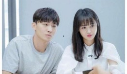 郑爽公司最新爆料,揭秘明星背后惊人内幕！”