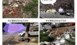 兰陵县开元爆料案件最新,真相渐明，疑云散去