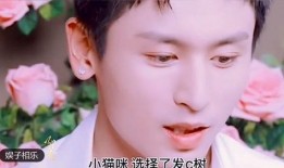 三太子爆料韩羽视频大全,韩羽视频大全背后的精彩瞬间