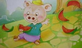 一只萌宠吃瓜的故事免费阅读,瓜田里的欢乐时光