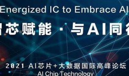 网飞最新数据爆料新闻视频,热门剧集观看趋势大揭秘！