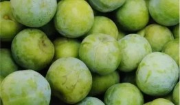 新疆网红杨敏新瓜最新爆料,揭秘背后惊人真相