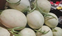 半糖小糖丸吃瓜在线观看免费,吃瓜在线免费观看，揭秘甜蜜背后的秘密