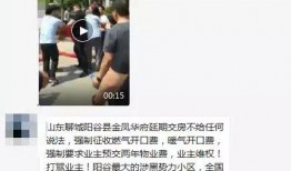 阳谷邻居爆料视频最新,邻里纠纷背后的真相