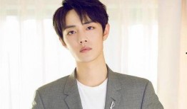 圈内爆料肖战宋妍菲视频,娱乐圈再掀波澜