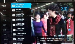 春节爆料在哪儿看直播视频,揭秘热门平台，精彩内容一网打尽