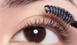 蝇化妆 在线观看,跟随“蝇化妆”在线揭秘美妆奥秘