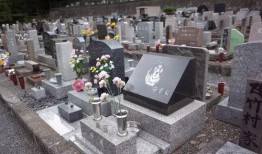 爱的坟墓在线观看,揭秘情感深处的生死轮回