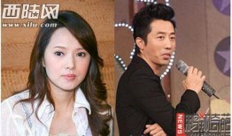 明星大爆料宋喆视频播放,明星大爆料背后的惊人真相