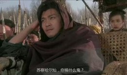 赵文卓苏乞儿在线观看,传奇英雄的江湖传奇