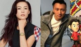 娱乐圈吃瓜张柏芝被气到入院图片,娱乐圈风波再起