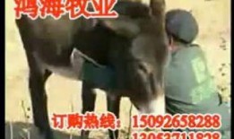 谁爆料八卦大驴了视频,八卦爆料背后的故事