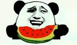 娱乐吃瓜酱买东西,揭秘明星日常用品