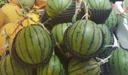 半糖小糖丸吃瓜在线观看免费,吃瓜在线免费观看，揭秘甜蜜背后的秘密