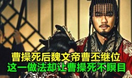 曹氏三兄弟爆料小号视频,揭秘娱乐圈不为人知的秘密