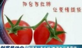 吃瓜娱乐营销号怎么做,如何玩转热点，吸引粉丝