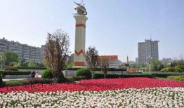 阳泉泉城最新爆料,揭秘最新爆料背后的故事