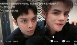 爆料小猪整容视频播放,揭秘明星整形背后的真相