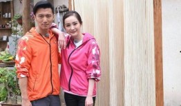 爆料杨姓艺人视频播放,网络热议背后的真相揭晓