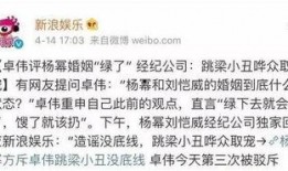 卓伟爆料娱乐圈多少钱,娱乐圈揭秘，明星收入惊人内幕