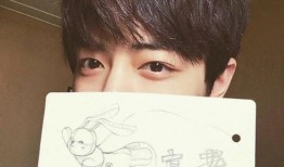 圈内爆料肖战宋妍菲视频,娱乐圈再掀波澜