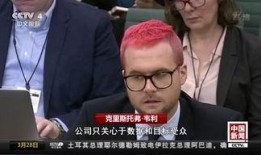 陈少宝爆料黄家强视频,真相背后引人深思