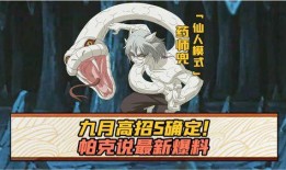 最新1月s忍高招爆料,神秘新角色亮相，实力与颜值并存