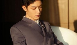 圈内爆料肖战宋妍菲视频,娱乐圈再掀波澜