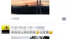 怎么看晨曦被爆料视频,真相与争议的交织