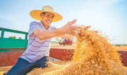 粮食在线观看,揭秘农业科技与智慧农业的融合之旅