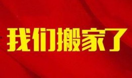 小陈爆料济南头条新闻最新消息,小陈独家爆料，最新重大新闻揭晓！